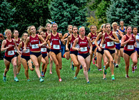 Delco Cross Country Championships 2013